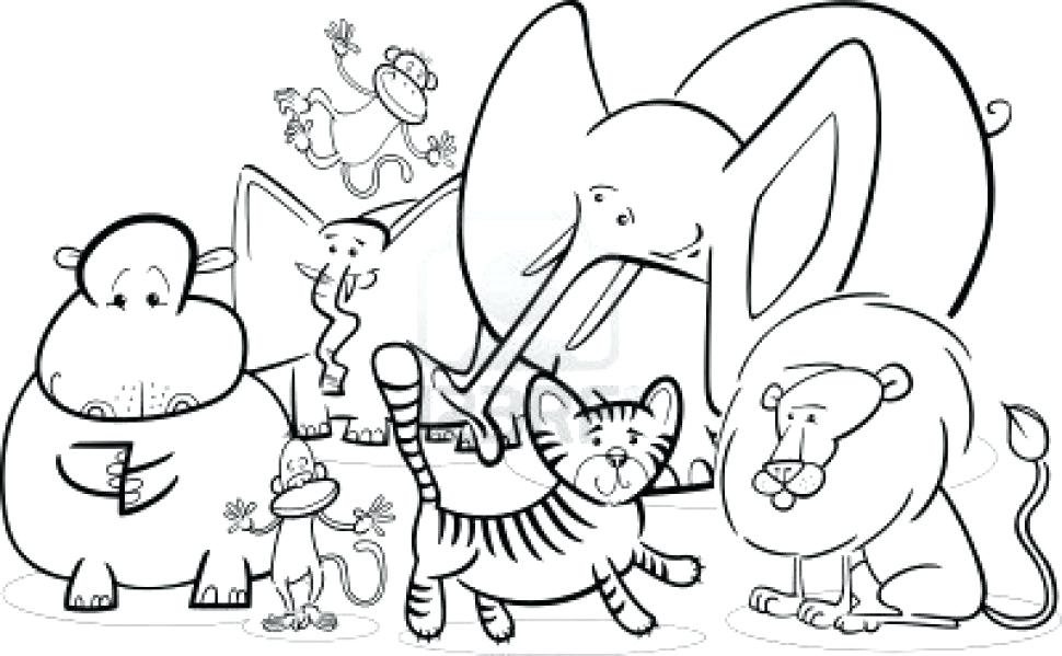 970x599 Zoo Coloring Sheet Zoo Pages Charming Com Colouring Books