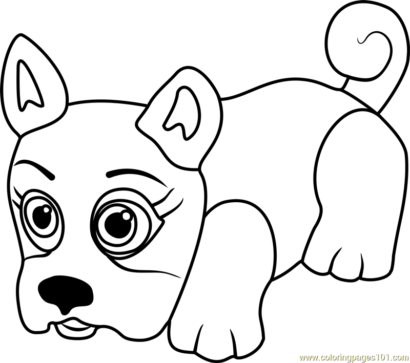 800x709 French Bulldog Coloring Page