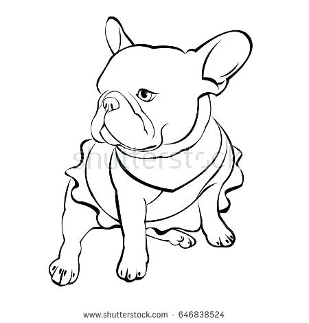 450x470 French Bulldog Coloring Pages French Bulldog Colouring Pages Cat