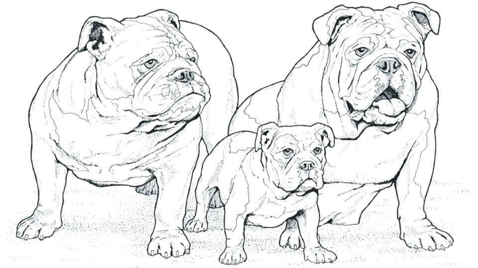960x540 French Bulldog Coloring Sheets Corgi Coloring Pages Welsh Page