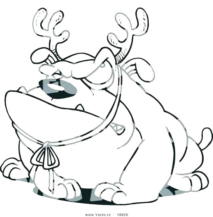 728x742 Bulldog Coloring Page Coloring French Bulldog Coloring Pages Page