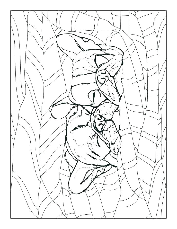 728x942 Print Out Coloring Pages Coloring Pages French And Sheets Free