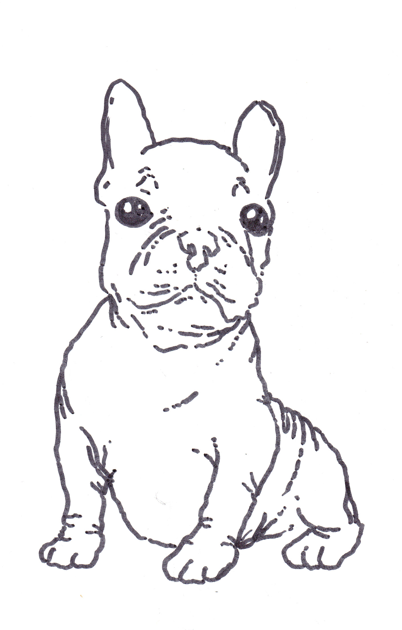 1410x2212 Bulldog Coloring Pages