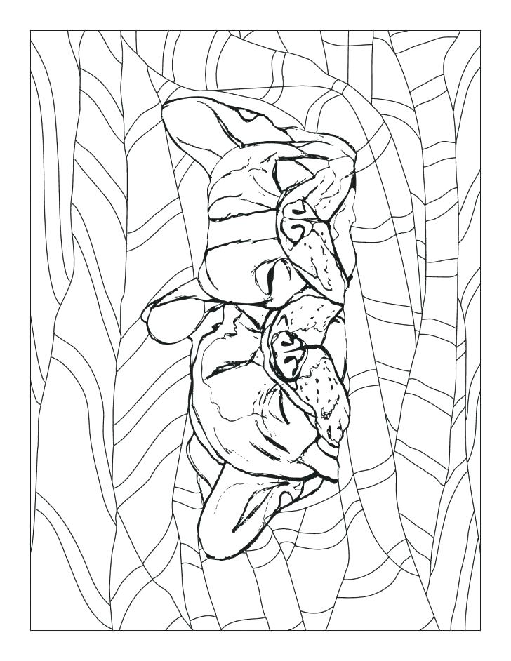 728x942 French Bulldog Coloring Pages Marine Corps Coloring Pages New