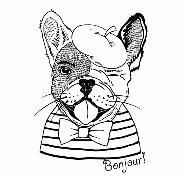 736x720 French Coloring Pages Beautiful Best Animal Zentangle Coloring