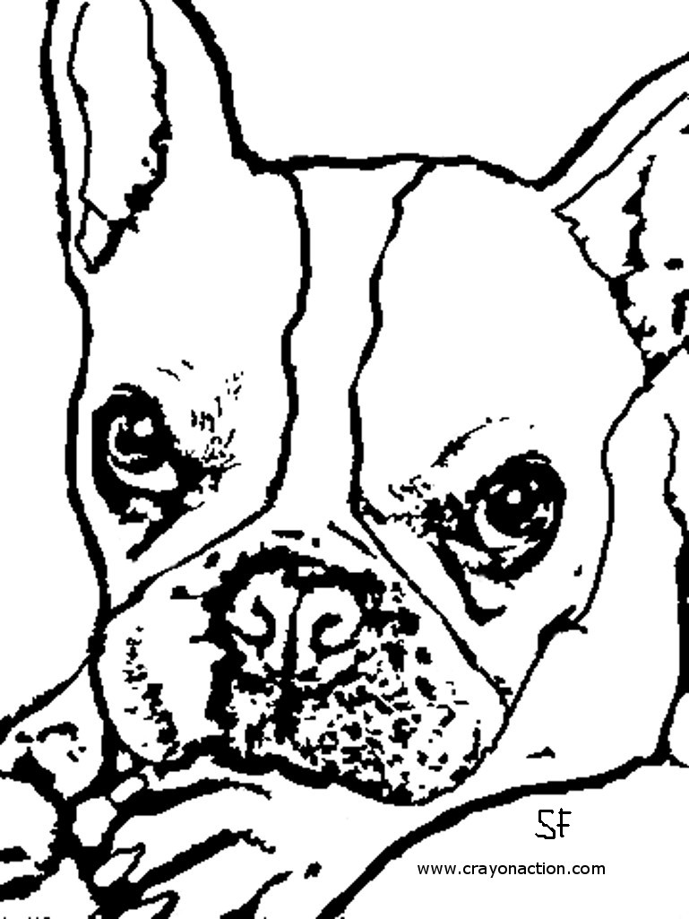 769x1025 Scarce Free Printable Bulldog Coloring Page Pages French Crayon