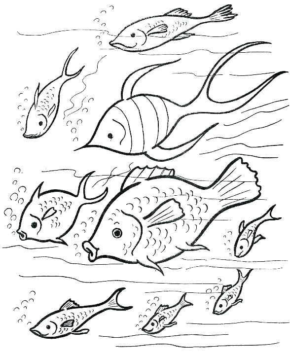 588x720 French Coloring Pages Free Printable French Coloring Pages