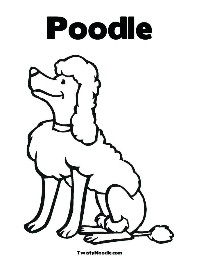 685x886 Poodle Coloring Page French Poodles Colouring Pages Baby Poodle