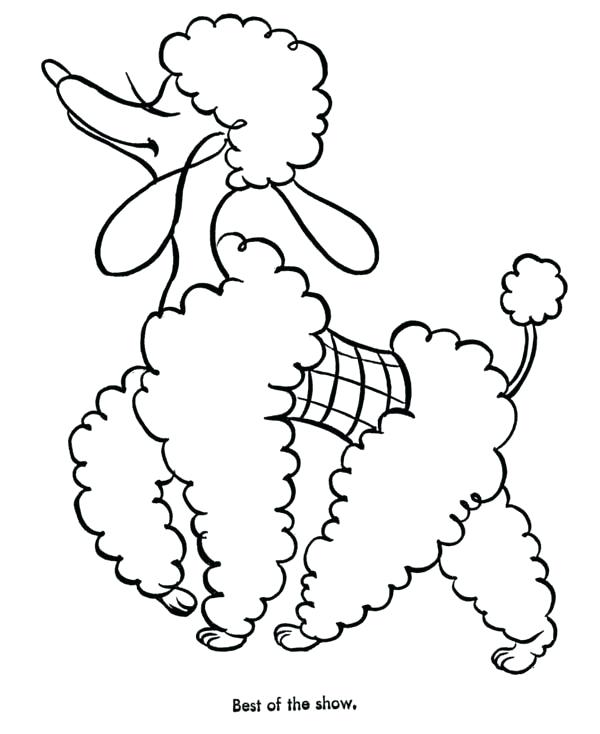 600x734 Poodle Coloring Page Kevmey Me Free Pages