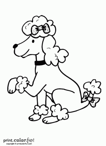 363x500 Poodle Dog Print Color Fun! Free Printables, Coloring Pages