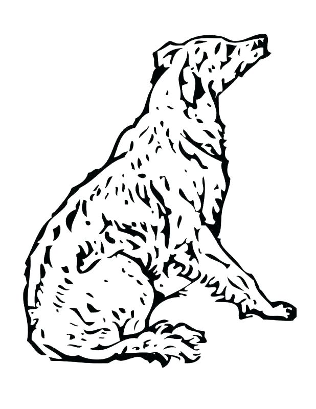 618x800 Sled Dog Coloring Pages Poodle Coloring Pages Best Coloring Pages