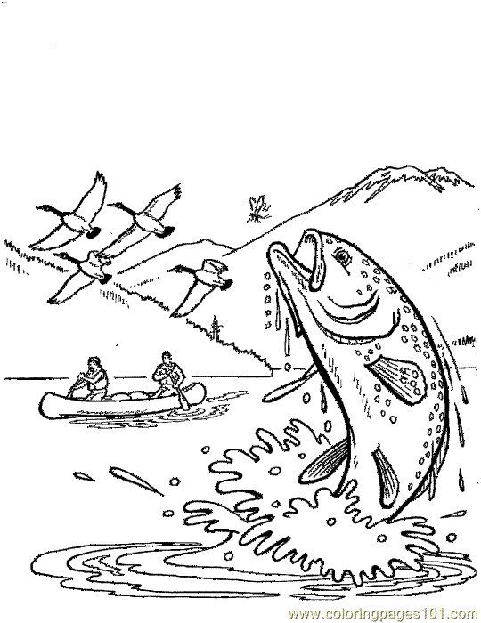 540x700 River Fish Coloring Pages Trout Coloring Pages For Pictures River