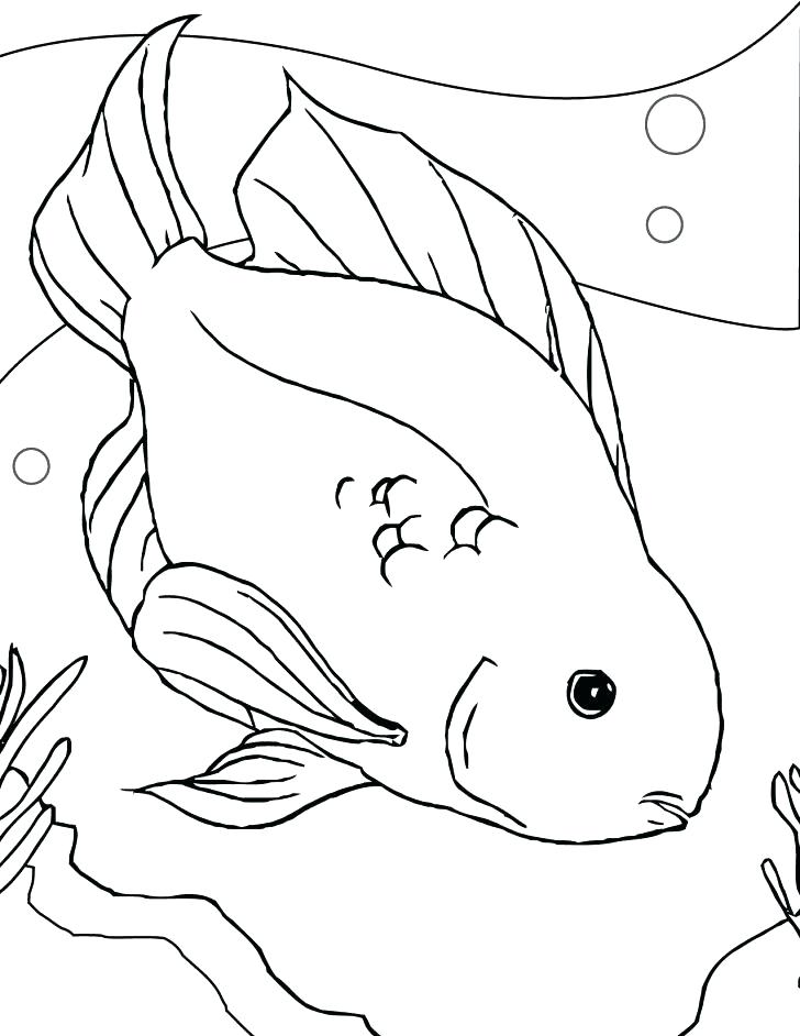 728x942 Coloring Pages Fish Freshwater Fish Coloring Pages Fish Coloring