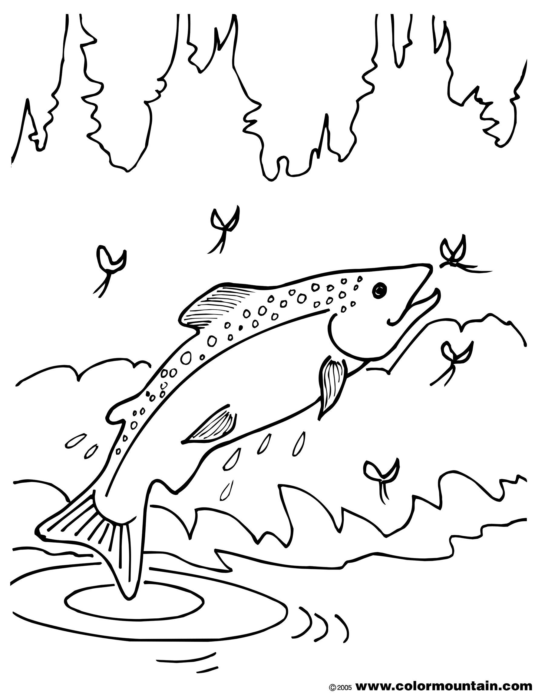 1800x2294 Coloring Pages Of Freshwater Fish Free Coloring Pages Library