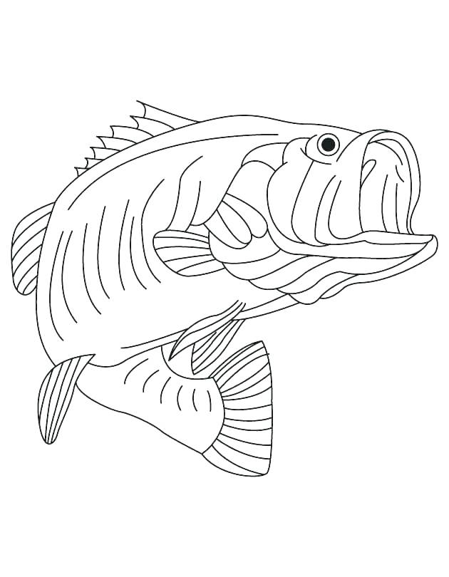 630x810 Coloring Pages And Coloring Books Freshwater Fish Coloring Pages