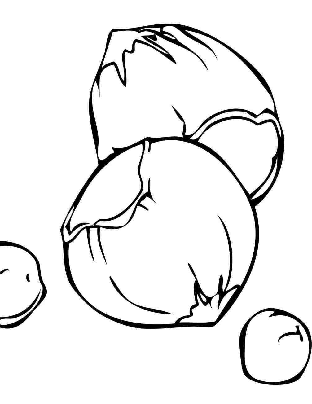 1007x1304 Fried Egg Coloring Page