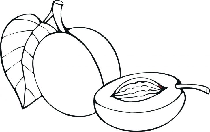 728x459 Fried Egg Outline Coloring Pages Food Best Activities Animal Bats