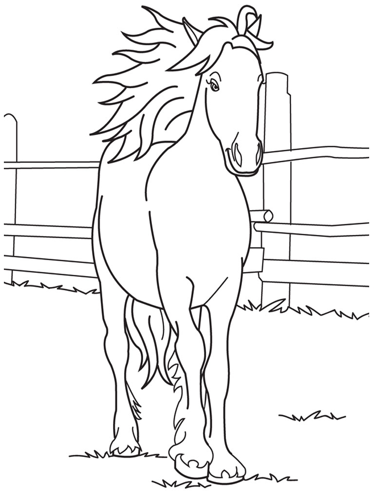 768x1024 Perfect Friesian Horse Head Coloring Pages Crest