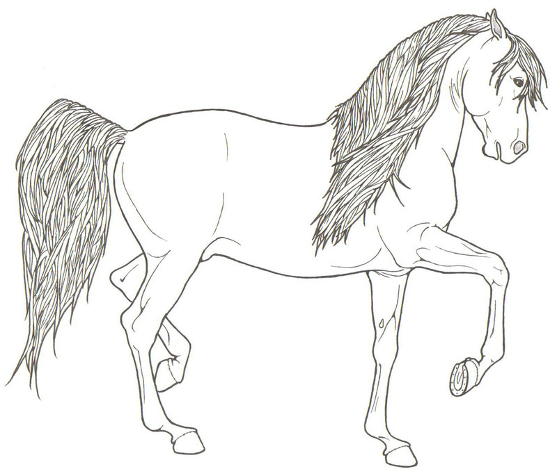 800x685 Rearing Horses Coloring Pages