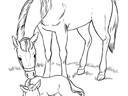 440x330 Coloring Pages Of Horses Printable, Horse Coloring Page