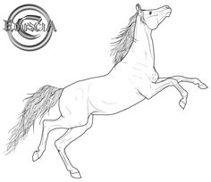 236x204 Horse Coloring Pages Adult