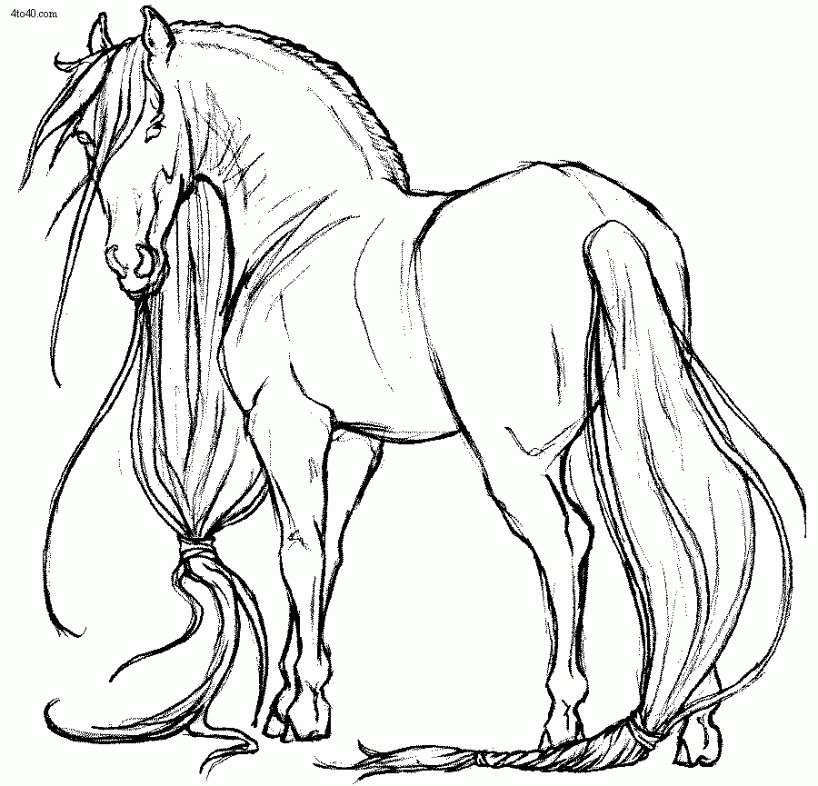 900x865 Realistic Horse Coloring Pages