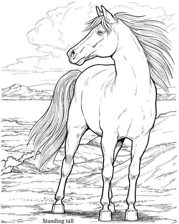 615x770 Best Horse Coloring Pages Images On Horse Coloring