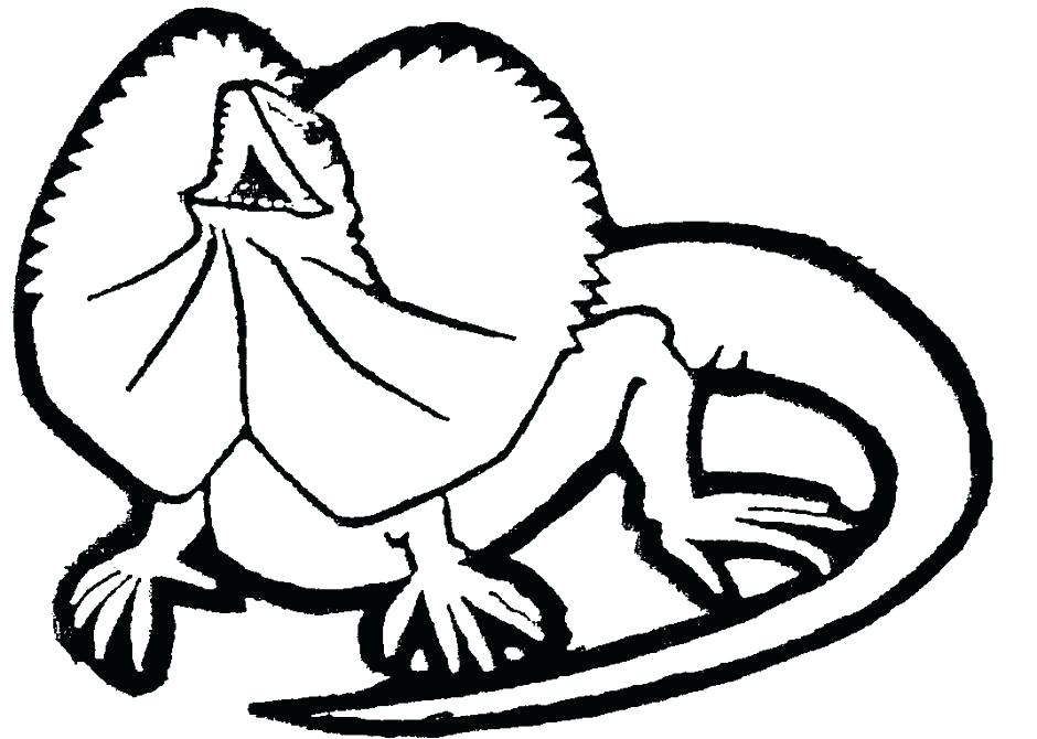 940x670 Lizard Coloring Pages Frilled Lizard Coloring Pages Coloring