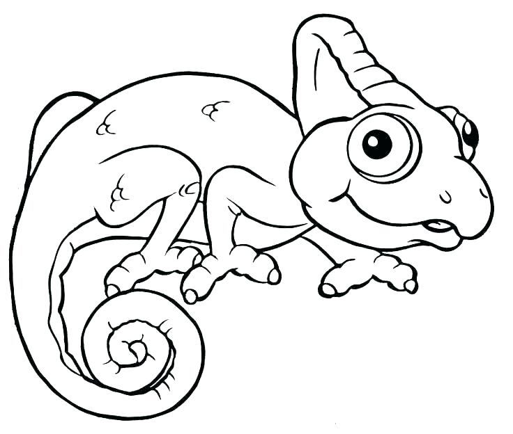 736x624 Lizard Coloring Page