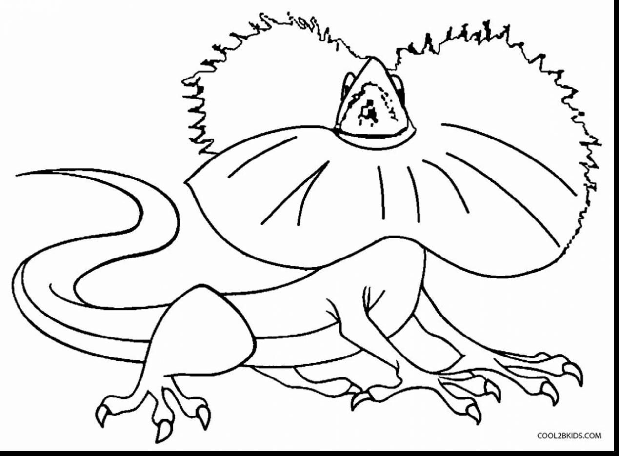 1269x935 Lizard Coloring Page