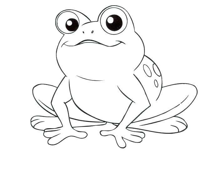 700x547 Tree Frog Coloring Pages Frogs Coloring Pages Frog Coloring Pages