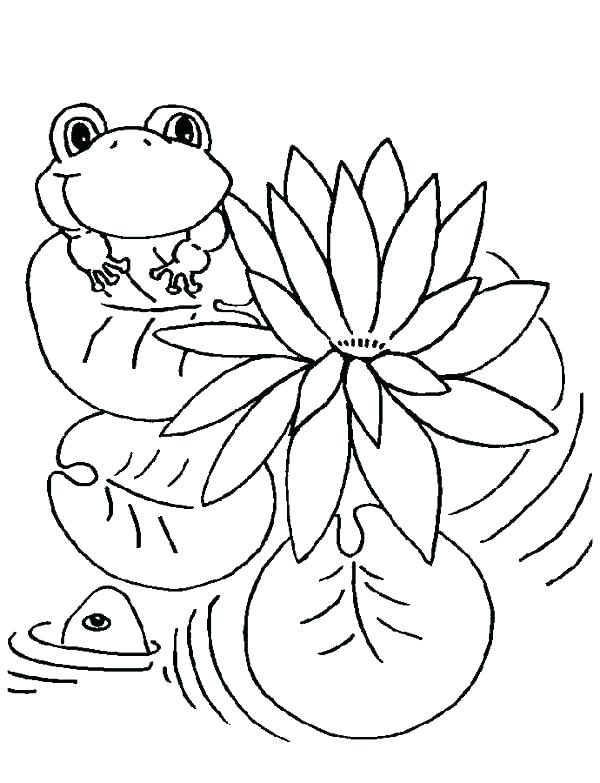 600x783 Frog Color Pages Frog Color Pages Leap Frog Color Pages Lily Pad