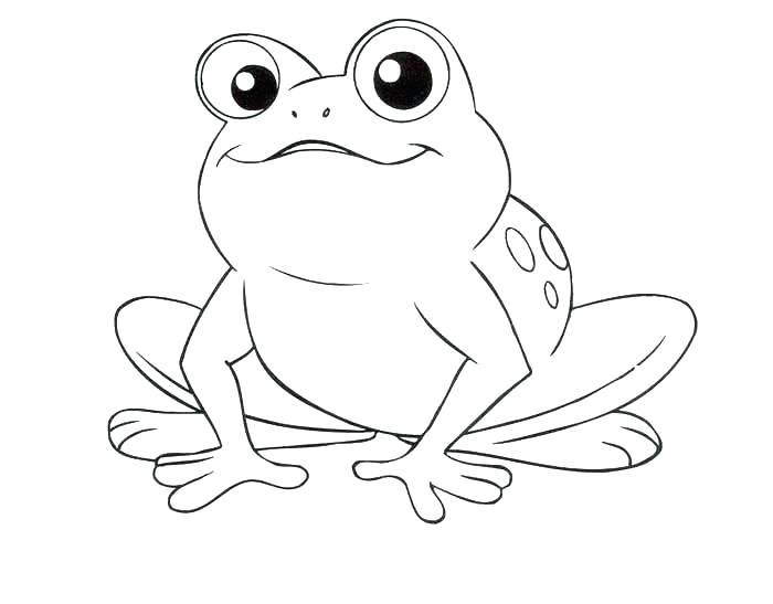 700x547 How To Draw Frog And Toad Coloring Pages Of Frogs Printable Frog