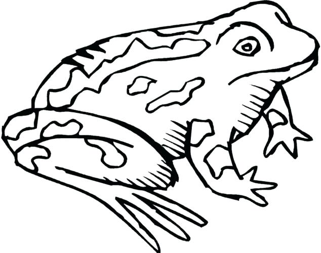 634x500 Toad Coloring Pages Coloring Page Frog And Toad Coloring Pages
