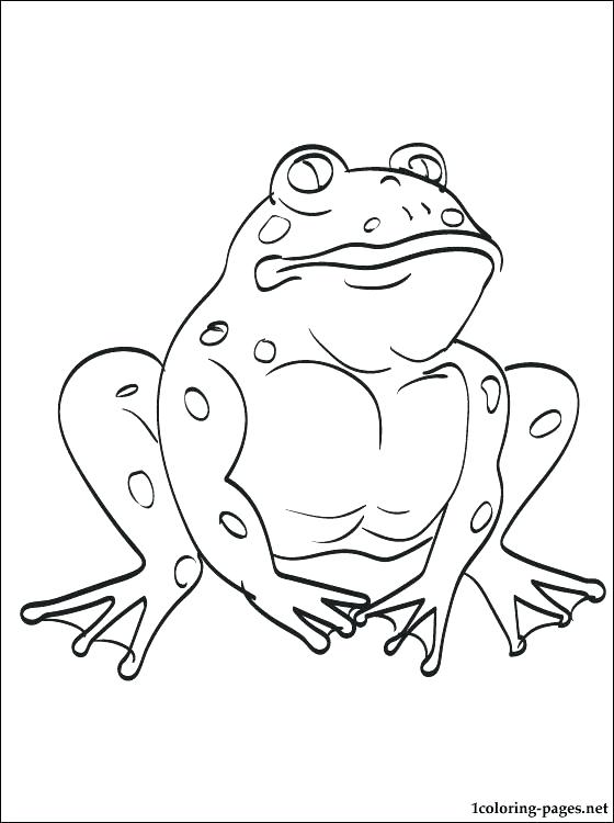 560x750 Toad Coloring Pages Picturesque Design Frog And Toad Coloring