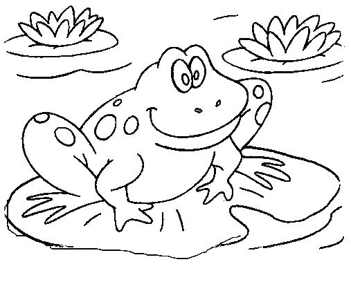 507x408 Toad Coloring Page