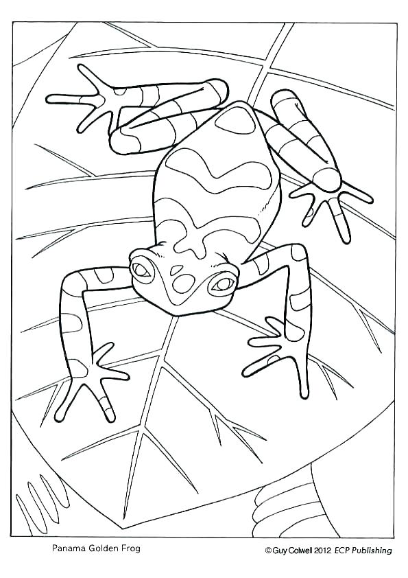 595x842 Frog And Toad Coloring Pages Coloring Page Frog Coloring Pages
