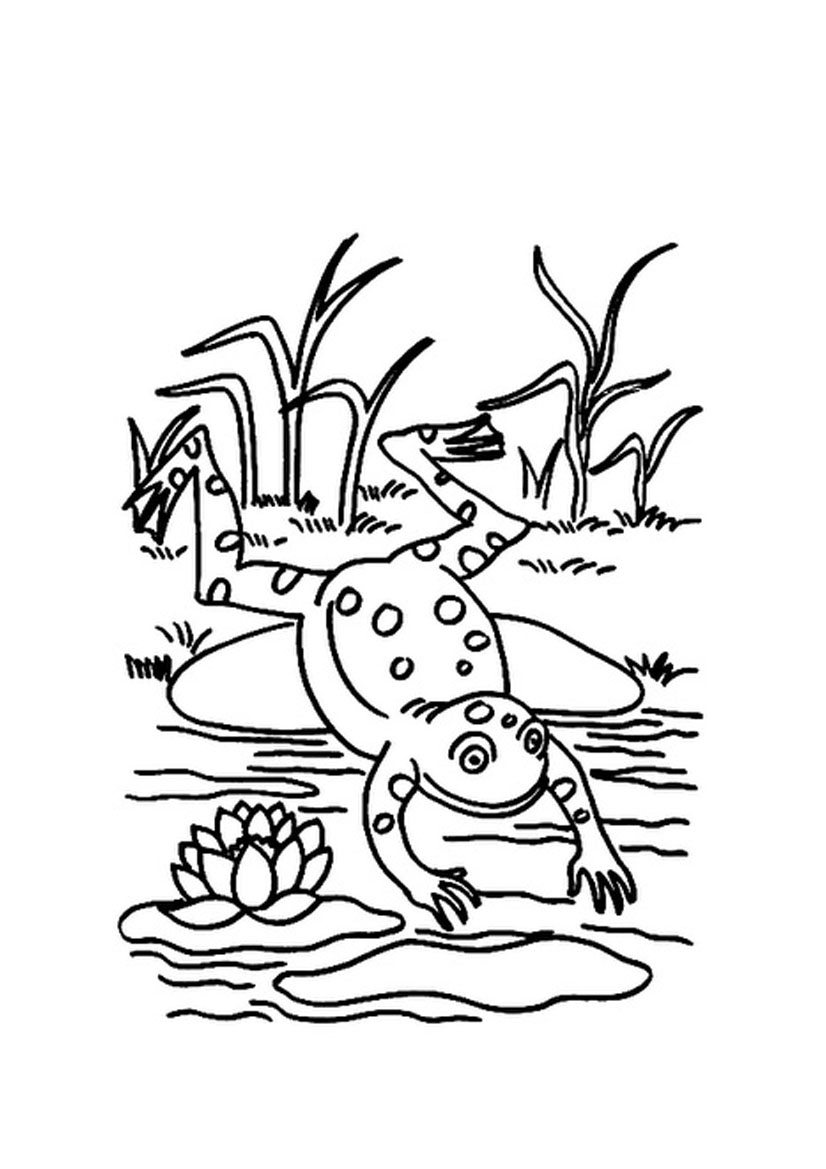 826x1169 Destiny Pistol Pete Coloring Page Jumping Frog Animal Pages