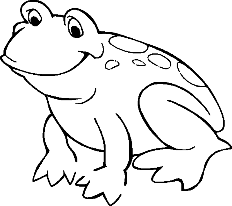 800x709 Frog Cartoon Coloring Pages