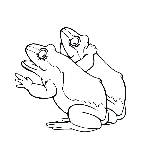 585x650 Frog Color Pages Frog Coloring Pages Cute Frog Coloring Page