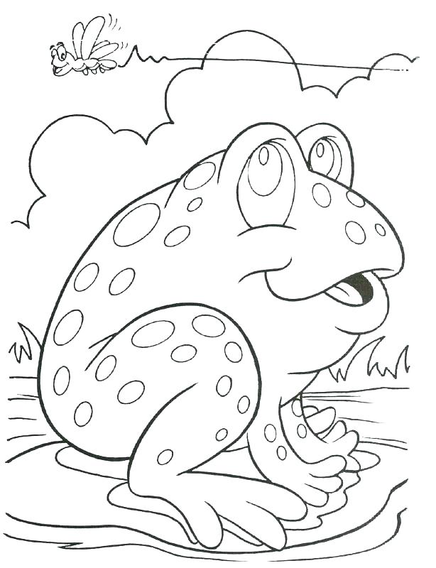 614x800 Frog Coloring Page Frog Coloring Page Printable Frog Coloring