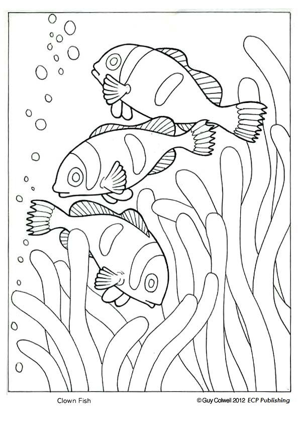 595x842 Frog Coloring Sheets Free Amusing Frog Coloring Sheets Free