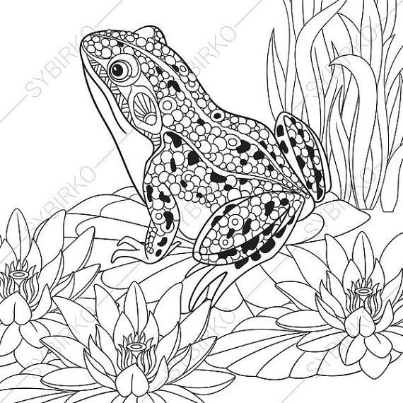 570x570 Frog Coloring Pages Animal Coloring Book Pages For Adults