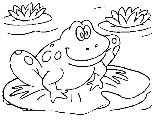 507x408 Printable Frog Coloring Pages Frog Coloring View Larger Free