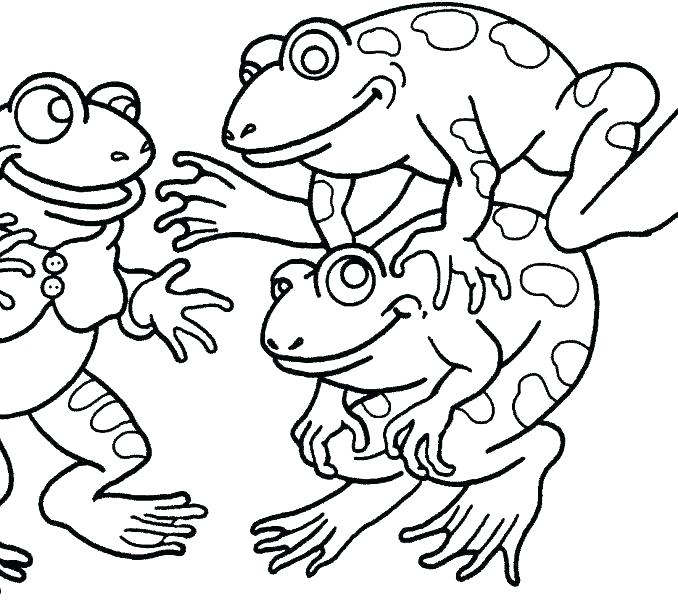678x600 Frog Coloring Pages