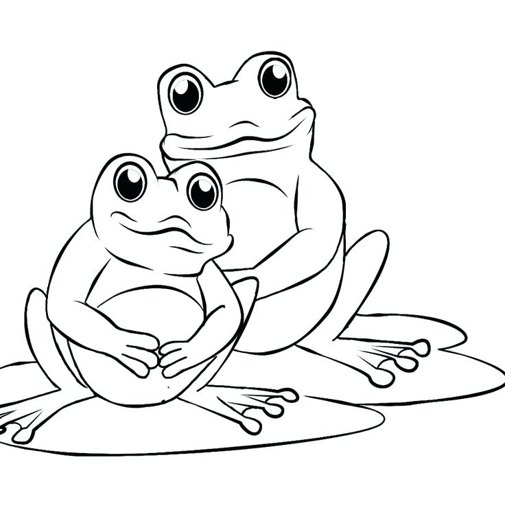 736x740 Frog Coloring Page Tadpole Coloring Page Tadpole Coloring Page