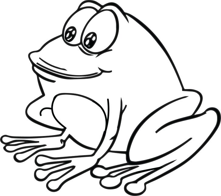 728x647 Frog Coloring Page With Wallpapers For Android Frog Coloring Page