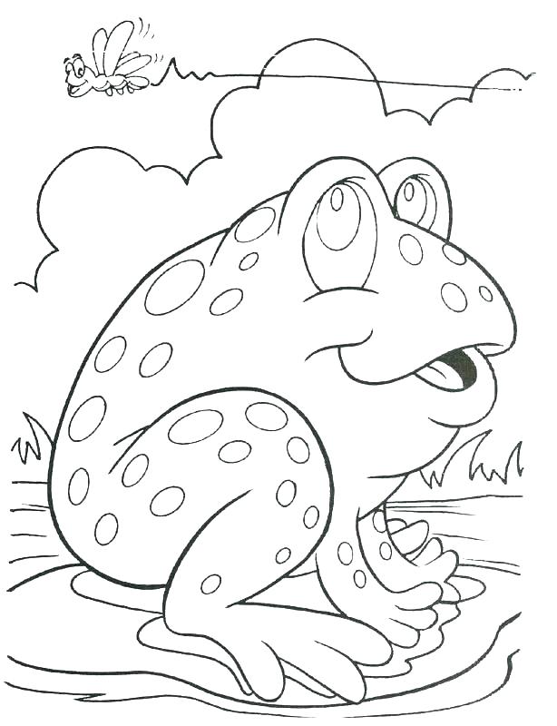 614x800 Frog Coloring Pages For Preschoolers Frog Coloring Pages Preschool