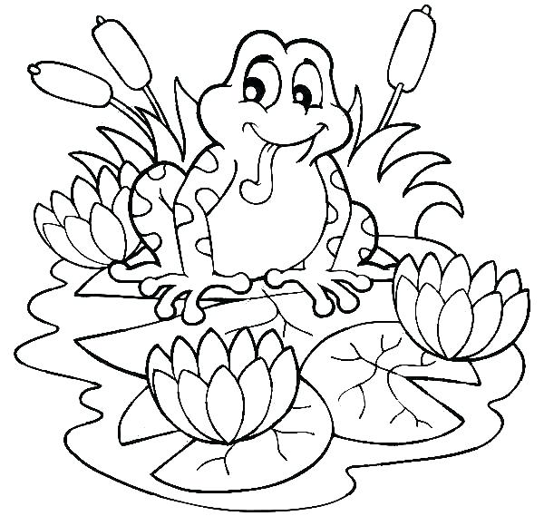 600x569 Frog Coloring Pages Frog Coloring Pages Page Frog Coloring Pages