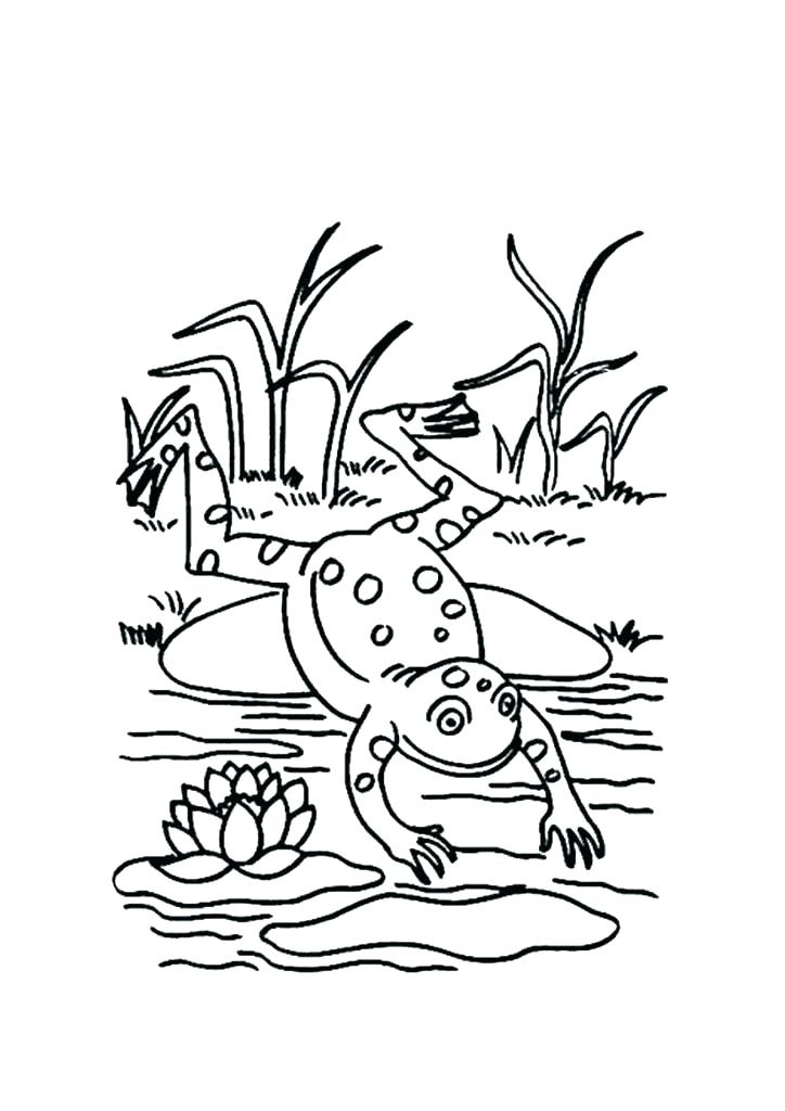 724x1024 Life Cycle Of A Frog Coloring Page Crafts And Worksheets For Life